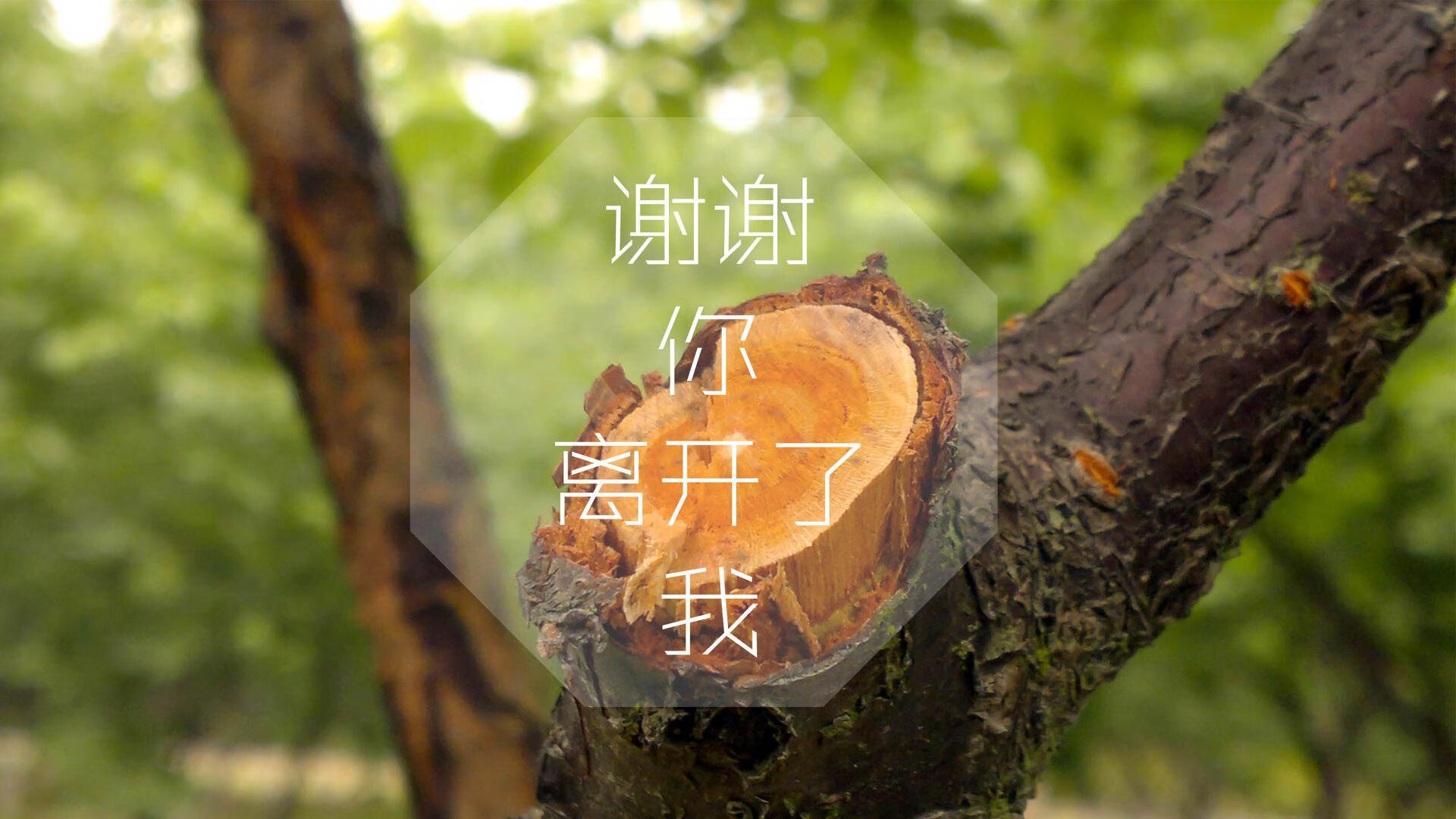 绝地求生 赛事组织规范化提升，绝地求生参赛队伍