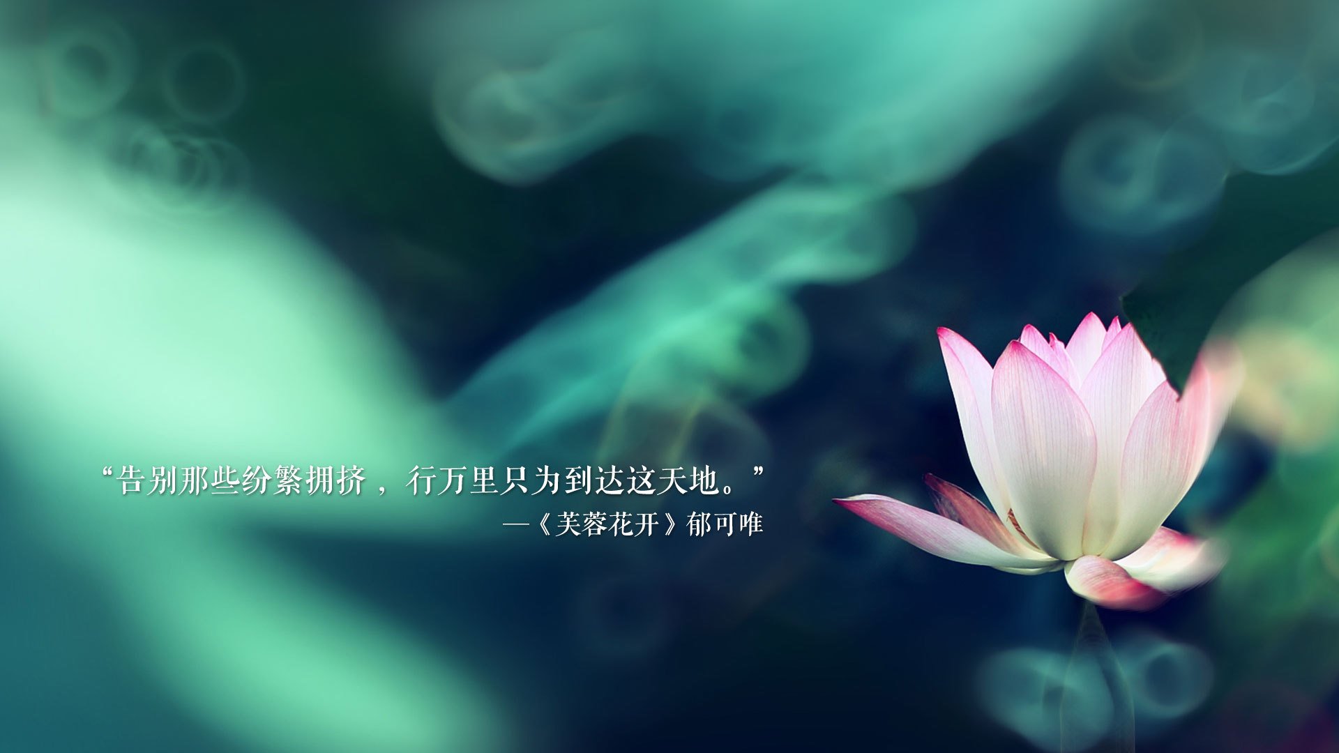 德赢集团-中国三人女篮进攻端表现出色 抢占先机，中国三人女篮百度百科